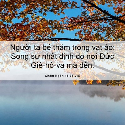 Picture 06 - Châm Ngôn 16:33 VIE - Người ta bẻ thăm trong vạt áo; Song sự - Bible Verse Picture