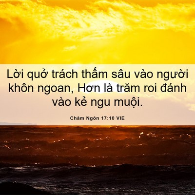 Picture 06 - Châm Ngôn 17:10 VIE - Lời quở trách thấm sâu vào người - Bible Verse Picture
