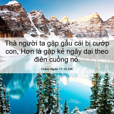 Picture 06 - Châm Ngôn 17:12 VIE - Thà người ta gặp gấu cái bị cướp - Bible Verse Picture