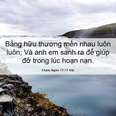Picture 06 - Châm Ngôn 17:17 VIE - Bằng hữu thương mến nhau luôn luôn; Và - Bible Verse Picture