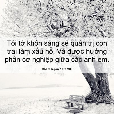 Picture 06 - Châm Ngôn 17:2 VIE - Tôi tớ khôn sáng sẽ quản trị con trai - Bible Verse Picture