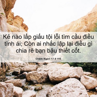 Picture 06 - Châm Ngôn 17:9 VIE - Kẻ nào lấp giấu tội lỗi tìm cầu - Bible Verse Picture
