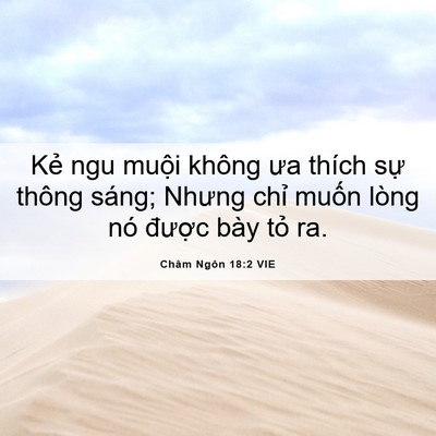 Picture 06 - Châm Ngôn 18:2 VIE - Kẻ ngu muội không ưa thích sự thông - Bible Verse Picture