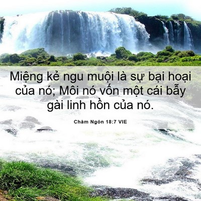 Picture 06 - Châm Ngôn 18:7 VIE - Miệng kẻ ngu muội là sự bại hoại - Bible Verse Picture