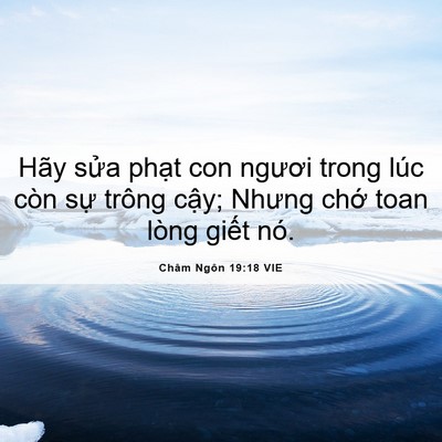 Picture 06 - Châm Ngôn 19:18 VIE - Hãy sửa phạt con ngươi trong lúc còn - Bible Verse Picture