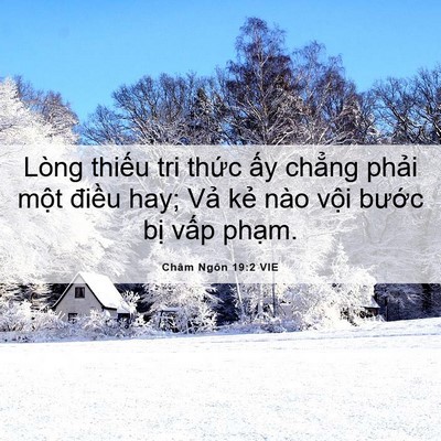 Picture 06 - Châm Ngôn 19:2 VIE - Lòng thiếu tri thức ấy chẳng phải - Bible Verse Picture