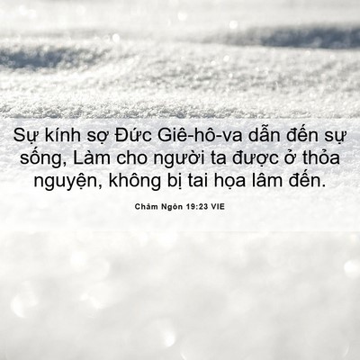 Picture 06 - Châm Ngôn 19:23 VIE - Sự kính sợ Đức Giê-hô-va dẫn đến - Bible Verse Picture