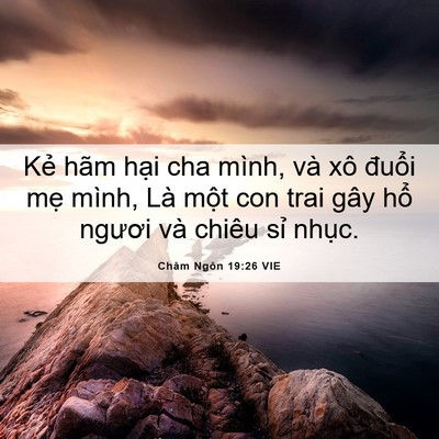 Picture 06 - Châm Ngôn 19:26 VIE - Kẻ hãm hại cha mình, và xô đuổi mẹ - Bible Verse Picture