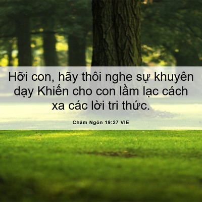 Picture 06 - Châm Ngôn 19:27 VIE - Hỡi con, hãy thôi nghe sự khuyên dạy - Bible Verse Picture