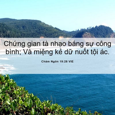 Picture 06 - Châm Ngôn 19:28 VIE - Chứng gian tà nhạo báng sự công bình; - Bible Verse Picture