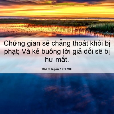Picture 06 - Châm Ngôn 19:9 VIE - Chứng gian sẽ chẳng thoát khỏi bị - Bible Verse Picture