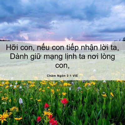 Picture 06 - Châm Ngôn 2:1 VIE - Hỡi con, nếu con tiếp nhận lời ta, - Bible Verse Picture