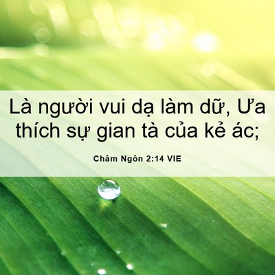 Picture 06 - Châm Ngôn 2:14 VIE - Là người vui dạ làm dữ, Ưa thích sự - Bible Verse Picture
