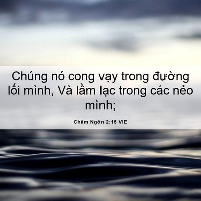 Picture 06 - Châm Ngôn 2:15 VIE - Chúng nó cong vạy trong đường lối - Bible Verse Picture