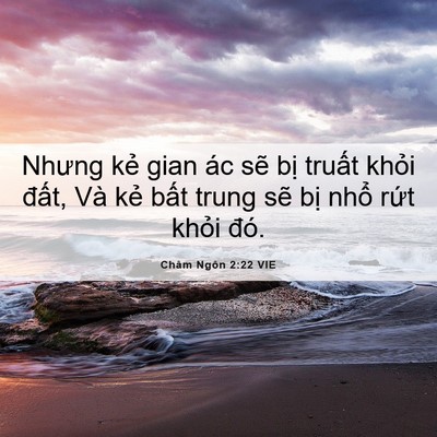 Picture 06 - Châm Ngôn 2:22 VIE - Nhưng kẻ gian ác sẽ bị truất khỏi - Bible Verse Picture