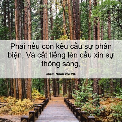 Picture 06 - Châm Ngôn 2:3 VIE - Phải nếu con kêu cầu sự phân biện, - Bible Verse Picture