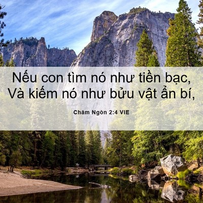 Picture 06 - Châm Ngôn 2:4 VIE - Nếu con tìm nó như tiền bạc, Và kiếm - Bible Verse Picture