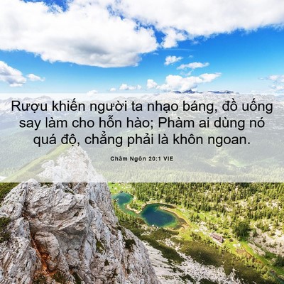 Picture 06 - Châm Ngôn 20:1 VIE - Rượu khiến người ta nhạo báng, đồ - Bible Verse Picture