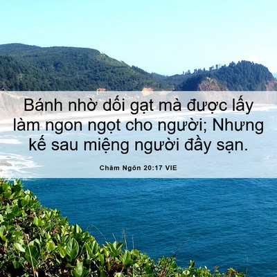 Picture 06 - Châm Ngôn 20:17 VIE - Bánh nhờ dối gạt mà được lấy làm - Bible Verse Picture
