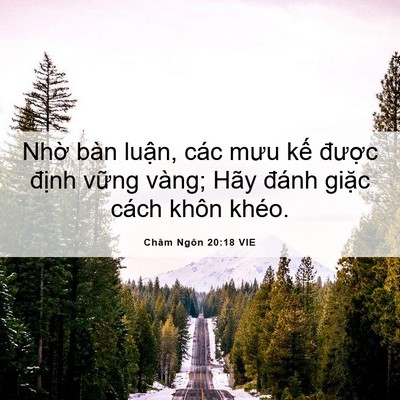 Picture 06 - Châm Ngôn 20:18 VIE - Nhờ bàn luận, các mưu kế được - Bible Verse Picture