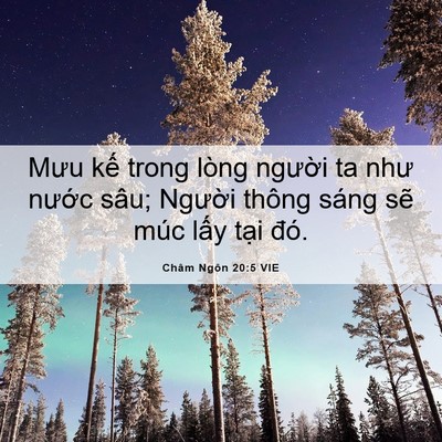 Picture 06 - Châm Ngôn 20:5 VIE - Mưu kế trong lòng người ta như nước - Bible Verse Picture