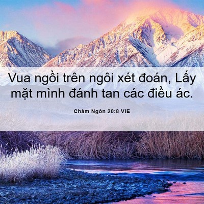 Picture 06 - Châm Ngôn 20:8 VIE - Vua ngồi trên ngôi xét đoán, Lấy mặt - Bible Verse Picture