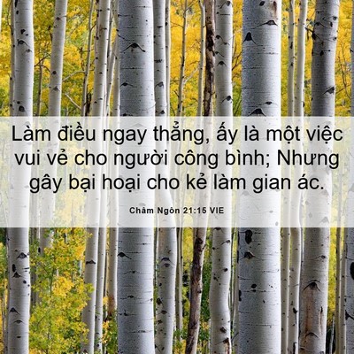Picture 06 - Châm Ngôn 21:15 VIE - Làm điều ngay thẳng, ấy là một việc - Bible Verse Picture