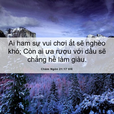 Picture 06 - Châm Ngôn 21:17 VIE - Ai ham sự vui chơi ắt sẽ nghèo khó; Còn - Bible Verse Picture