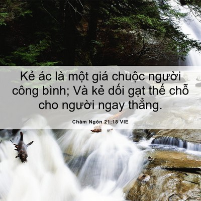 Picture 06 - Châm Ngôn 21:18 VIE - Kẻ ác là một giá chuộc người công - Bible Verse Picture