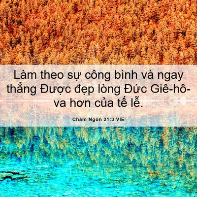 Picture 06 - Châm Ngôn 21:3 VIE - Làm theo sự công bình và ngay thẳng - Bible Verse Picture