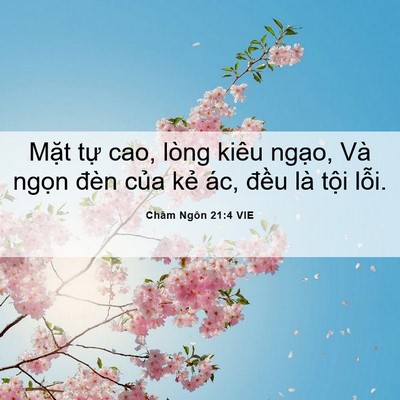 Picture 06 - Châm Ngôn 21:4 VIE - Mặt tự cao, lòng kiêu ngạo, Và ngọn - Bible Verse Picture