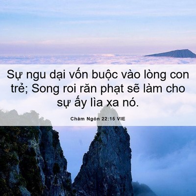 Picture 06 - Châm Ngôn 22:15 VIE - Sự ngu dại vốn buộc vào lòng con trẻ; - Bible Verse Picture