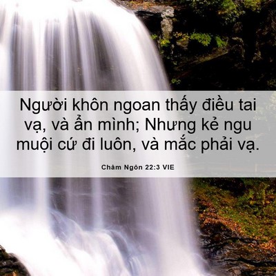 Picture 06 - Châm Ngôn 22:3 VIE - Người khôn ngoan thấy điều tai vạ, và - Bible Verse Picture
