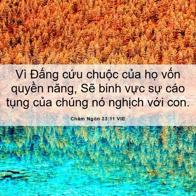 Picture 06 - Châm Ngôn 23:11 VIE - Vì Đấng cứu chuộc của họ vốn - Bible Verse Picture