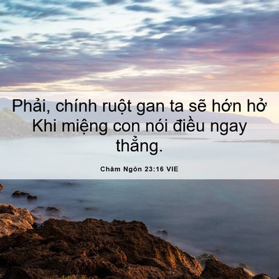 Picture 06 - Châm Ngôn 23:16 VIE - Phải, chính ruột gan ta sẽ hớn hở Khi - Bible Verse Picture