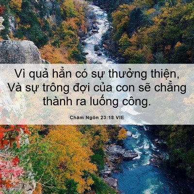 Picture 06 - Châm Ngôn 23:18 VIE - Vì quả hẳn có sự thưởng thiện, Và - Bible Verse Picture