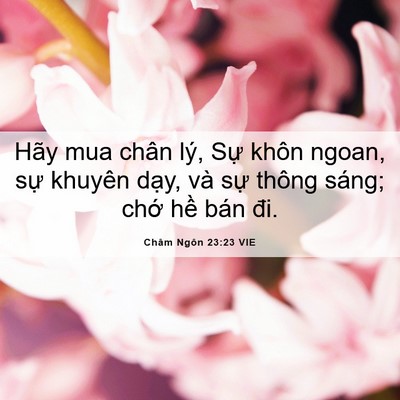Picture 06 - Châm Ngôn 23:23 VIE - Hãy mua chân lý, Sự khôn ngoan, sự - Bible Verse Picture