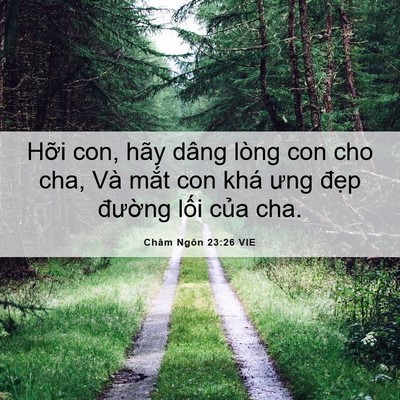 Picture 06 - Châm Ngôn 23:26 VIE - Hỡi con, hãy dâng lòng con cho cha, Và - Bible Verse Picture