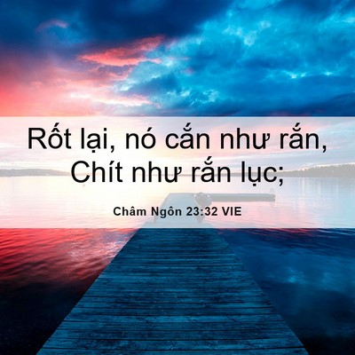 Picture 06 - Châm Ngôn 23:32 VIE - Rốt lại, nó cắn như rắn, Chít như - Bible Verse Picture