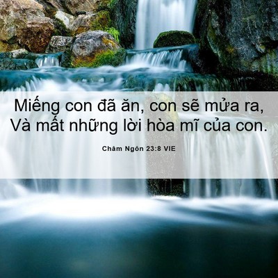 Picture 06 - Châm Ngôn 23:8 VIE - Miếng con đã ăn, con sẽ mửa ra, Và - Bible Verse Picture