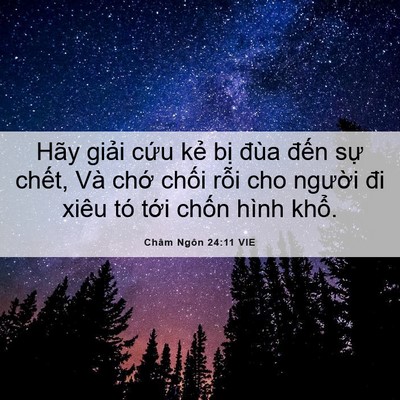 Picture 06 - Châm Ngôn 24:11 VIE - Hãy giải cứu kẻ bị đùa đến sự - Bible Verse Picture