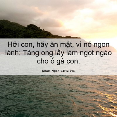 Picture 06 - Châm Ngôn 24:13 VIE - Hỡi con, hãy ăn mật, vì nó ngon lành; - Bible Verse Picture