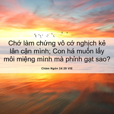 Picture 06 - Châm Ngôn 24:28 VIE - Chớ làm chứng vô cớ nghịch kẻ lân - Bible Verse Picture
