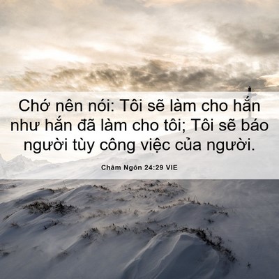 Picture 06 - Châm Ngôn 24:29 VIE - Chớ nên nói: Tôi sẽ làm cho hắn như - Bible Verse Picture