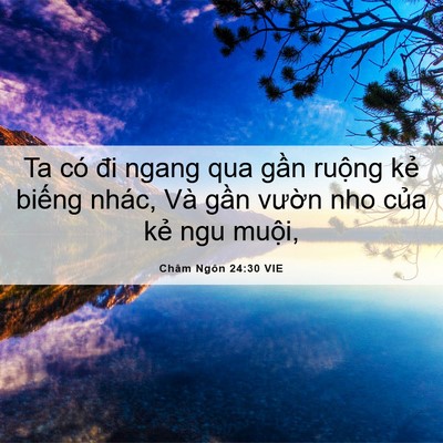 Picture 06 - Châm Ngôn 24:30 VIE - Ta có đi ngang qua gần ruộng kẻ biếng - Bible Verse Picture