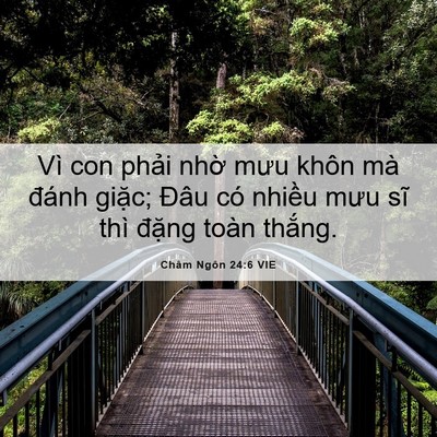 Picture 06 - Châm Ngôn 24:6 VIE - Vì con phải nhờ mưu khôn mà đánh - Bible Verse Picture