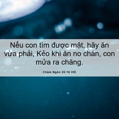 Picture 06 - Châm Ngôn 25:16 VIE - Nếu con tìm được mật, hãy ăn vừa - Bible Verse Picture