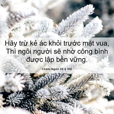 Picture 06 - Châm Ngôn 25:5 VIE - Hãy trừ kẻ ác khỏi trước mặt vua, - Bible Verse Picture