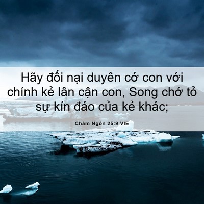 Picture 06 - Châm Ngôn 25:9 VIE - Hãy đối nại duyên cớ con với chính - Bible Verse Picture