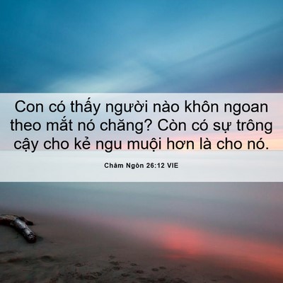 Picture 06 - Châm Ngôn 26:12 VIE - Con có thấy người nào khôn ngoan theo - Bible Verse Picture